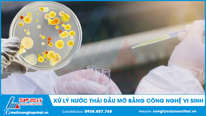 Xử lý nước thải dầu mỡ bằng công nghệ vi sinh