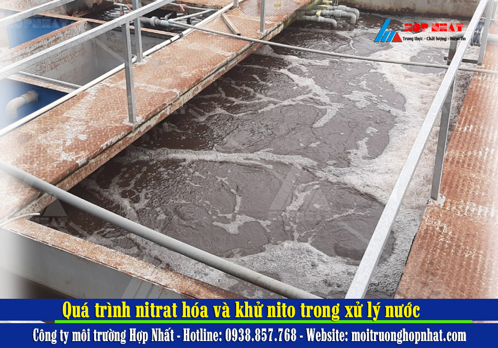 Quá trình nitrat hóa và khử nito trong xử lý nước