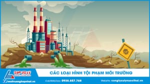 Các loại hình tội phạm môi trường