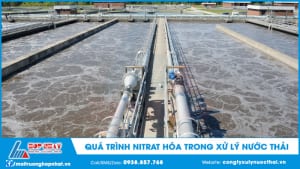 Quá trình nitrat hóa trong xử lý nước thải