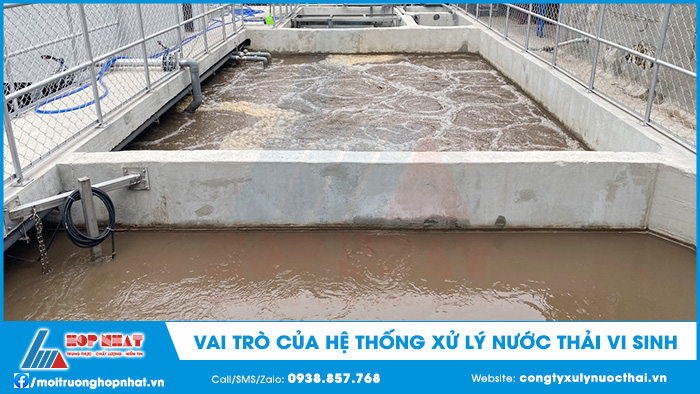 Vai trò của hệ thống vi sinh trong xử lý nước thải