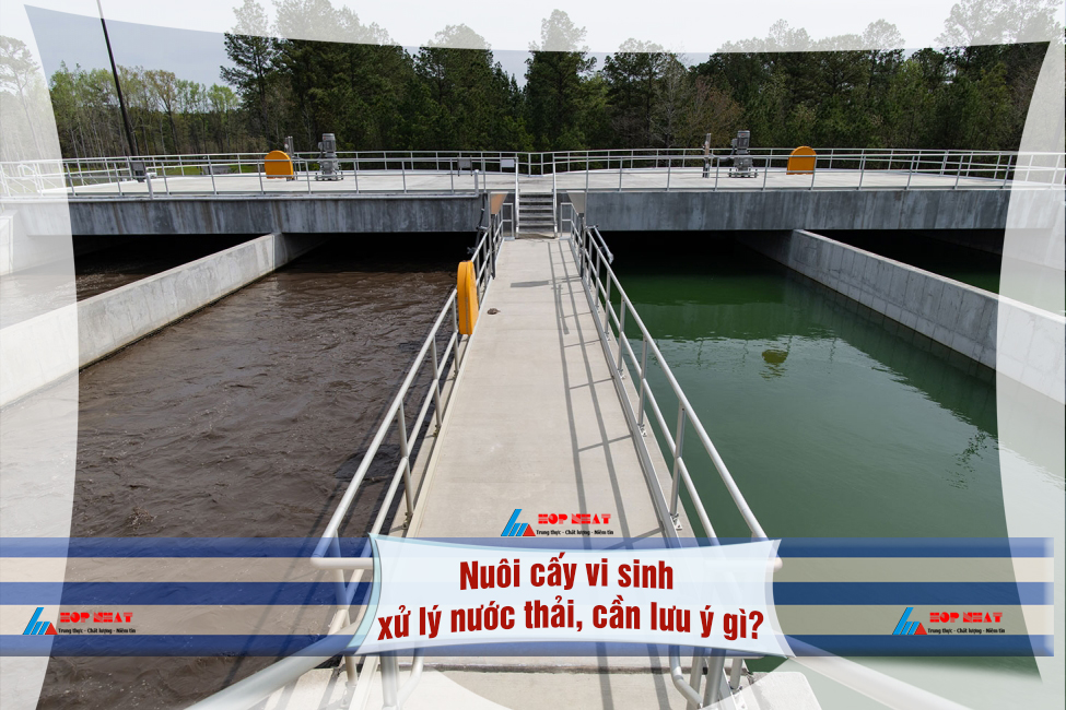 Nuôi cấy vi sinh xử lý nước thải, cần lưu ý gì?