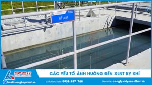 Các yếu tố ảnh hưởng đến xử lý nước thải kỵ khí