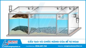 Cấu tạo và chức năng của bể tự hoại