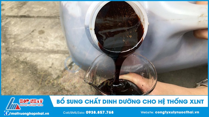Bổ sung chất dinh dưỡng cho hệ thống xử lý nước thải
