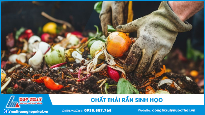 Chất thải rắn sinh học