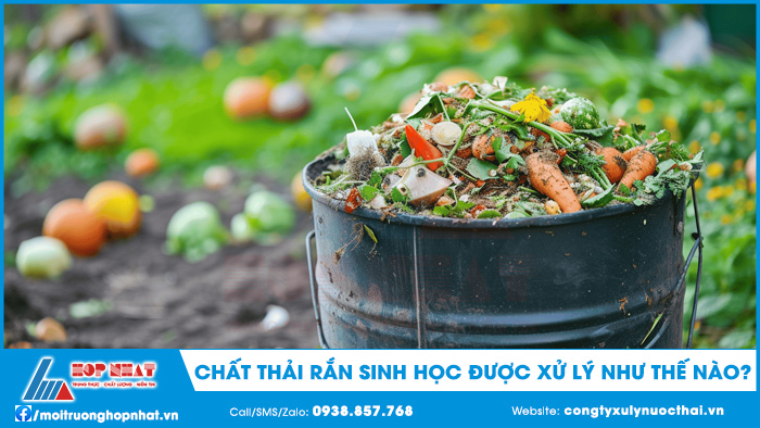 Chất thải rắn sinh học được xử lý như thế nào?
