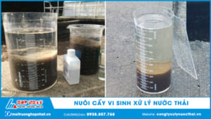 Nuôi cấy vi sinh xử lý nước thải