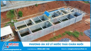 Phương án xử lý nước thải chăn nuôi