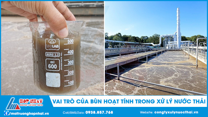 Vai trò của bùn hoạt tính trong xử lý nước thải