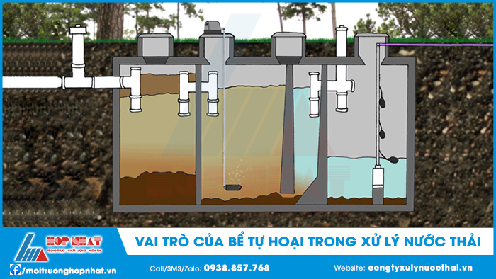 Vai trò của bể tự hoại trong xử l ý nước thải