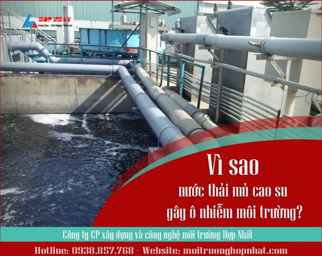 Vì sao nước thải mủ cao su gây ô nhiễm môi trường?