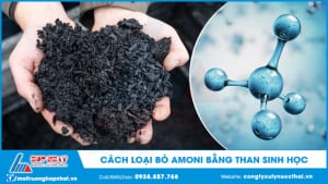 Cách loại bỏ amoni bằng than sinh học