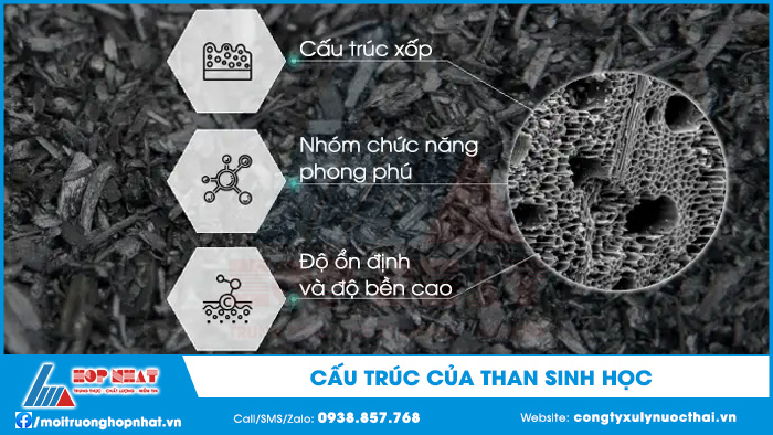 Cấu trúc của than sinh học