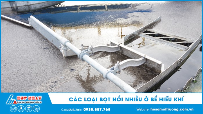các loại bọt nổi nhiều ở bể hiếu khí