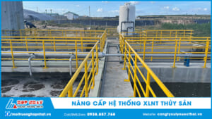 Nâng cấp, cải tạo hệ thống XLNT thủy sản