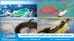 4 nguồn gây ô nhiễm môi trường đại dương