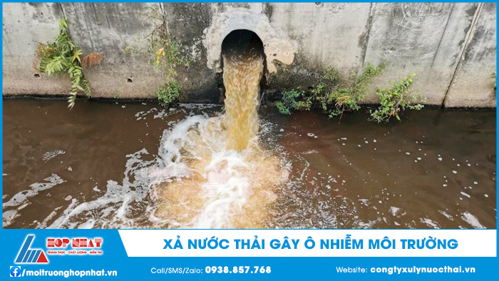 Xả nước thải gây ô nhiễm môi trường