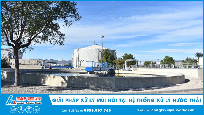 Giải pháp xử lý mùi hôi tại hệ thống Xử lý nước thải