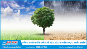 Lồng ghép biến đổi khí hậu vào chiến lược phát triển