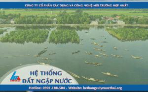 Điểm nổi bật của các hệ thống đất ngập nước