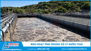 Bùn hoạt tính trong xử lý nước thải