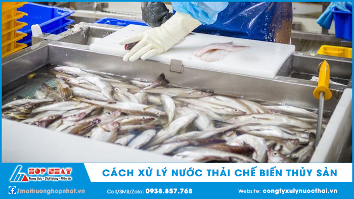 Cách xử lý nước thải chế biến thủy sản