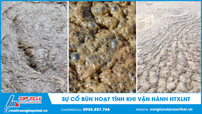 Sự cố bùn hoạt tonsh trong quá trình vận hành hệ thống xử lý nước thải