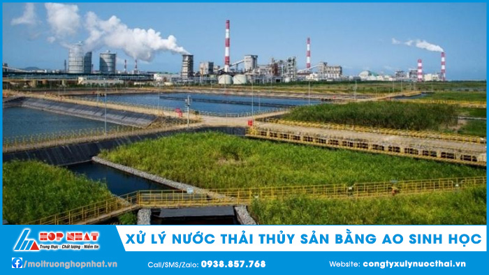 Xử lý nước thải thủy sản bằng ao sinh học