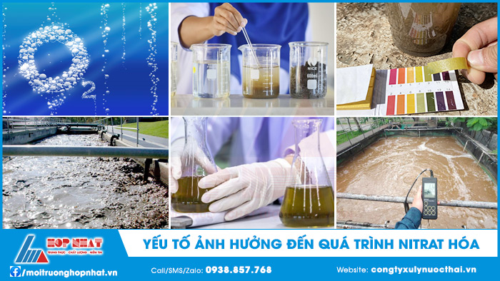 Yếu tố ảnh hưởng đến quá trình Nitrat hóa