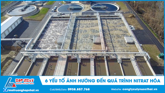 Các yếu tố ảnh hưởng đến quá trình nitrat hóa