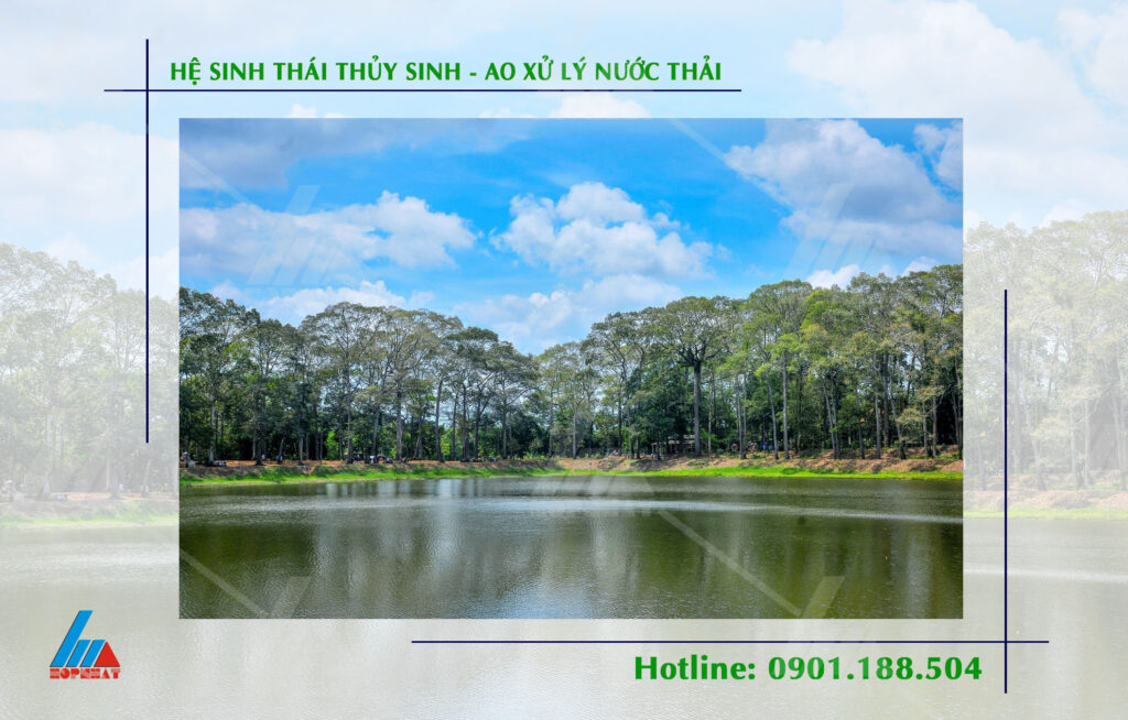 Hệ sinh thái thủy sinh - Ao xử lý nước thải