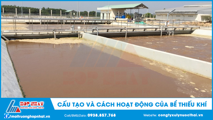 Cấu tạo và cách hoạt động của bể thiếu khí