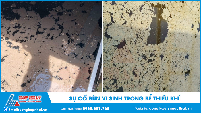 Sự cố bùn vi sinh trong bể thiếu khí
