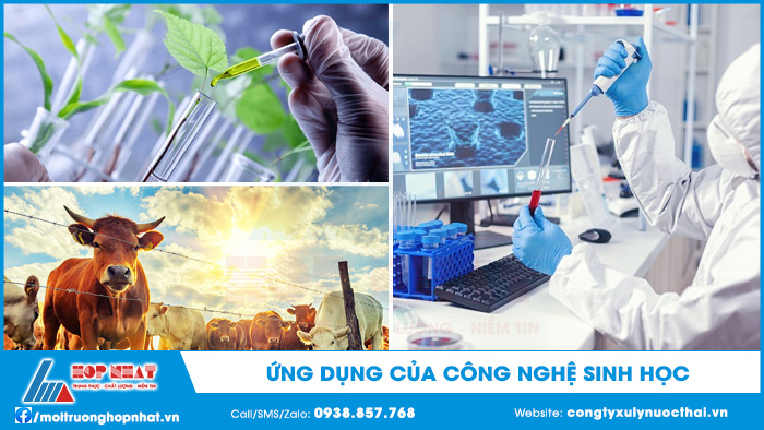 Ứng dụng của công nghệ sinh học