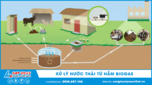 Xử lý nước thải từ hầm biogas