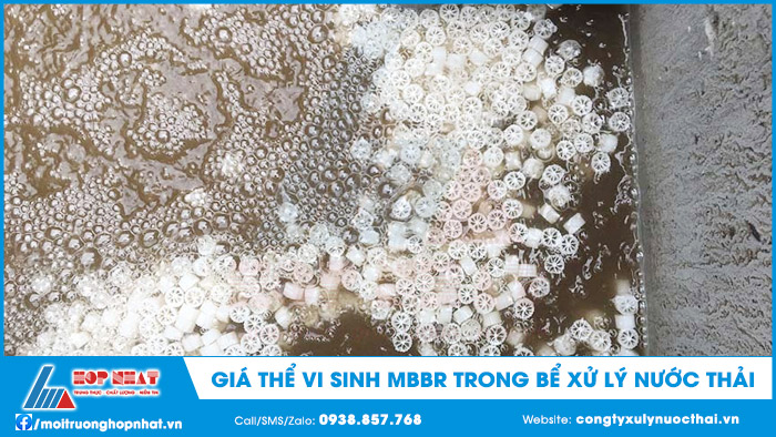 Giá thể vi sinh trong bể MBBR