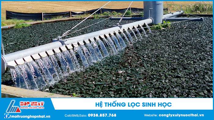 Hệ thống lọc sinh học