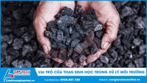 Vai trò của than sinh học