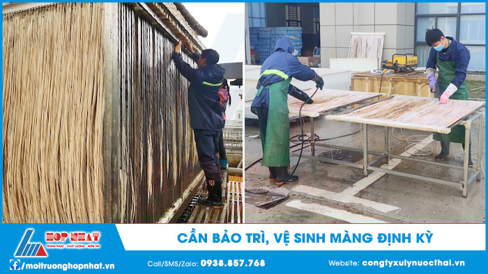 Bảo trì, vệ sinh màng định kỳ