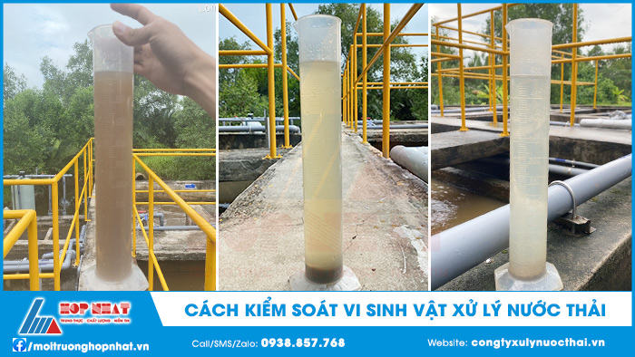 Cách kiểm soát vi sinh vật xử lý nước thải