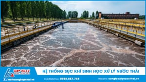 Hệ thống sục khí trong bể xử lý nước thải