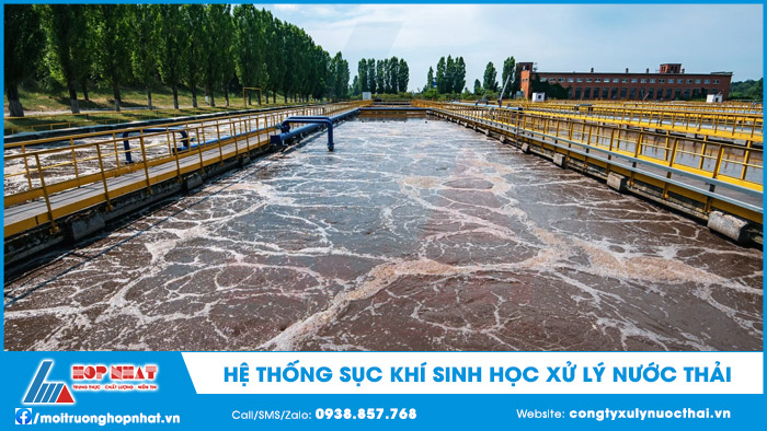 Hệ thống sục khí trong bể xử lý nước thải