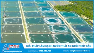 Giải pháp làm sạch nước thải ao nuôi thủy sản