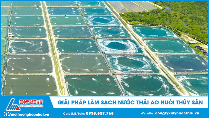 Giải pháp làm sạch nước thải ao nuôi thủy sản