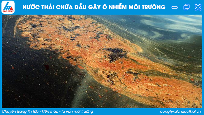 Nước thải chứa dầu gây ô nhiễm môi trường