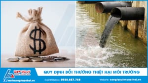 Quy định bồi thường thiệt hại môi trường