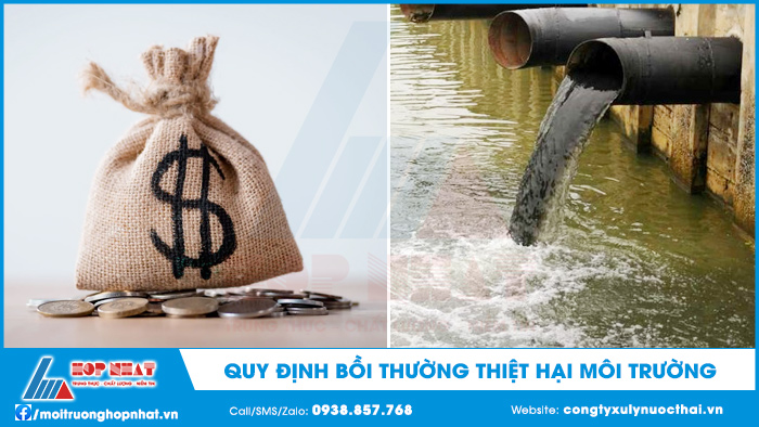 Quy định bồi thường thiệt hại môi trường