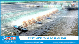 Xử lý nước thải ao nuôi tôm