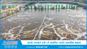 giải pháp xử lý nước thải nhiễm mặn
